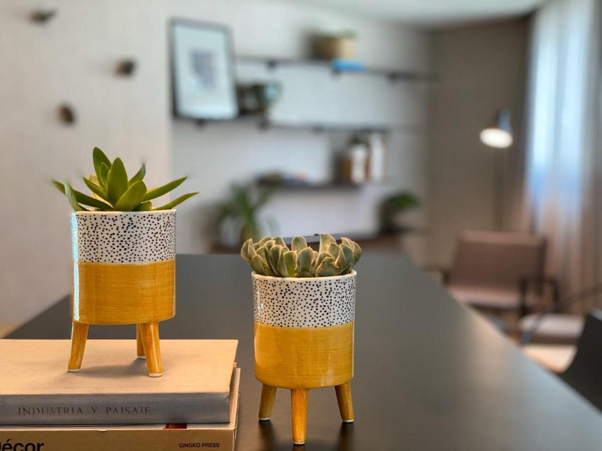 Radisson Oscar Freire Hotel เซาเปาโล ภายนอก รูปภาพ Succulents in a home